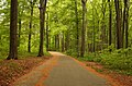 park krajobrazowy z pozostałościami dawnego zwierzyńca oraz aleją kasztanową, stanowiącą fragment drogi z Rept do Tarnowic Starych, XIX w.