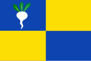 Vlag van Sint-Gillis-Waas