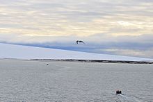 Schmidt-Insel 2 2014-09-01.jpg