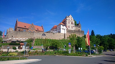 Burg Alzenau