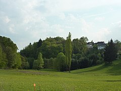 Blick auf den bewaldeten Burgberg aus Nord-Ost