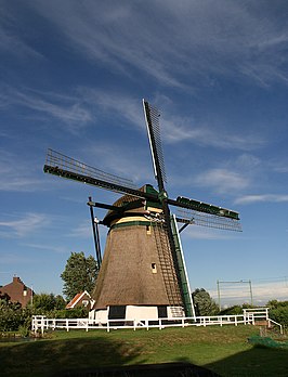 De molen De Rijnenburger