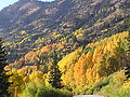 Image 10Little Cottonwood Canyon (from Utah)