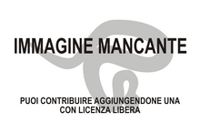 Immagine di Calamospondylus oweni mancante