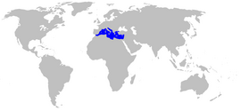 Área de distribución de Posidonia oceanica