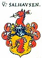 Wappen von Salhausen