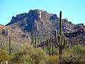 7 parc national de Saguaro Arizona