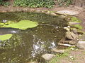 Froschkönig von Otto Mantzel im Froschteich des Stadtparks