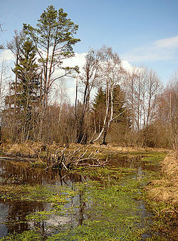 Hojkov ê kéng-sek