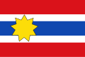 Vlag van Wijns