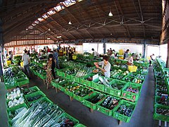 とれたて新鮮野菜市