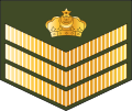 Staf sarjan (Royal Brunei Land Force)[23]