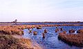 Het Ewige Meer bij Eversmeer