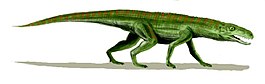 Gracilisuchus