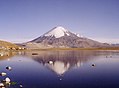 Vista del lago Chungará con el volcán Parinacota al fondo, en el Parque Nacional Lauca.