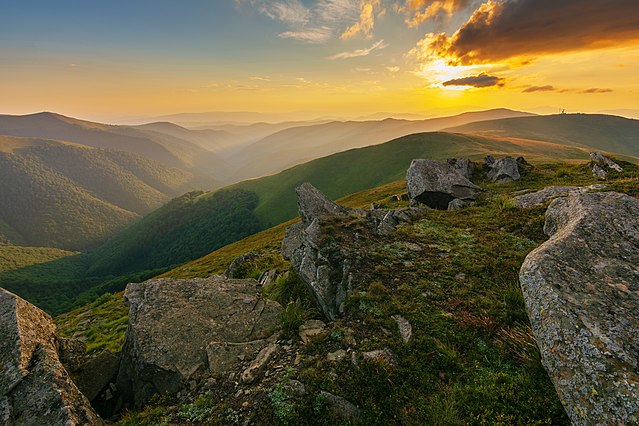 Заказник «Росішний», Закарпатська область © Михайло Ременюк, ліцензія CC-BY-SA-4.0