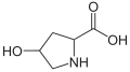 Hydroxyproline. This imino acid differs from proline due to a hydroxyl group on carbon 4.