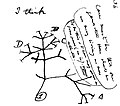 Image 31Charles Darwin's first sketch of an evolutionary tree from his First Notebook on Transmutation of Species (1837) (from History of biology)