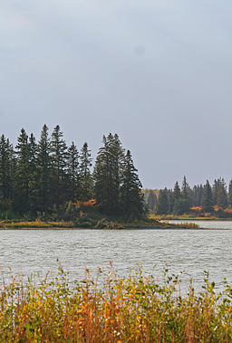 Sø i Elk Island National Park