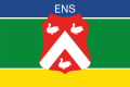 Vlag van Ens