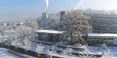 ETH HPT Tree in Winter