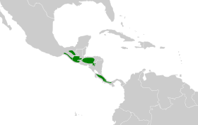 Distribución geográfica del mosquero amarillento.