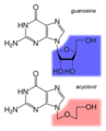 Comparación das estruturas da guanosina e do aciclovir.