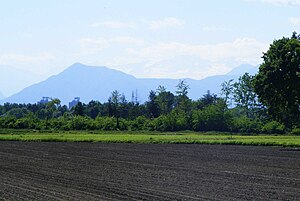 Mons Vesenius de agro taurinense