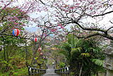 名護城公園（沖縄県名護市）