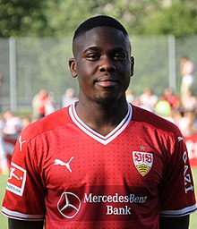 Orel mangala.jpg