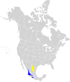 flave : nestumada arealo; blue : travintra arealo