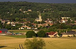 Skyline of Vouneuil-sur-Vienne