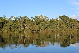 Amazônia