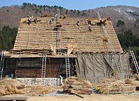 Réfection de la couverture d'un minka de style gassho-zukuri, village d'Ogimachi, Shirakawa-go, préfecture de Gifu, avril 2008.