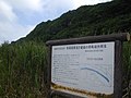 長幕崖壁および崖錐の特殊植物群落（天然記念物）