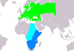 Distribución de Lanius collurio