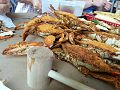 Image 12Marylanders steam blue crabs, usually in water, beer and Old Bay Seasoning. (from Culture of Baltimore)