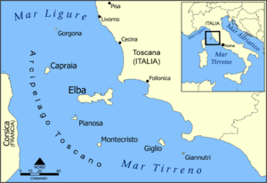 Situs Venaria in Mediterranei