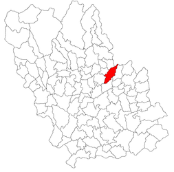 Șoimari – Mappa