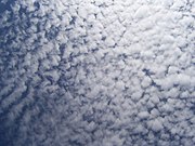 Altocumulus