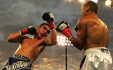 A rendered boxing bout featuring Ricardo Domínguez (left, throwing a left uppercut) versus Rafael Ortiz.