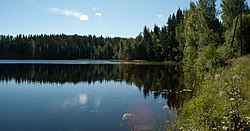 Kuvattu Hankaveden Hankalahden länsirannasta (koordinaattien mukaan).