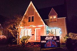 Lights on Peacock Lane