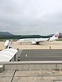 現ターミナルからのB737-800