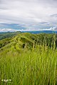 tanawin sa Bondari Hill