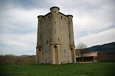 Juny: Castell d'Arcas a l'Aude