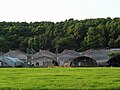 獅子山北南湖岸邊花卉基地一角。