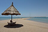 Litus in Hurghada