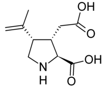 Stereo, skeletal formula of kainic acid