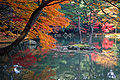 Paysage d'automne (Kyoto).